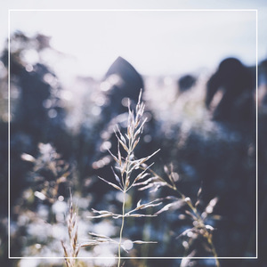 男同桌脱我小内内玩我全身微博
